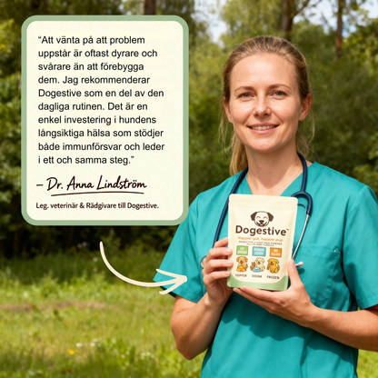 Dogestive™ – Dagligt tillskott för en gladare och friskare hund