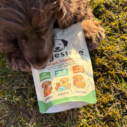 Dogestive™ – Dagligt tillskott för en gladare och friskare hund