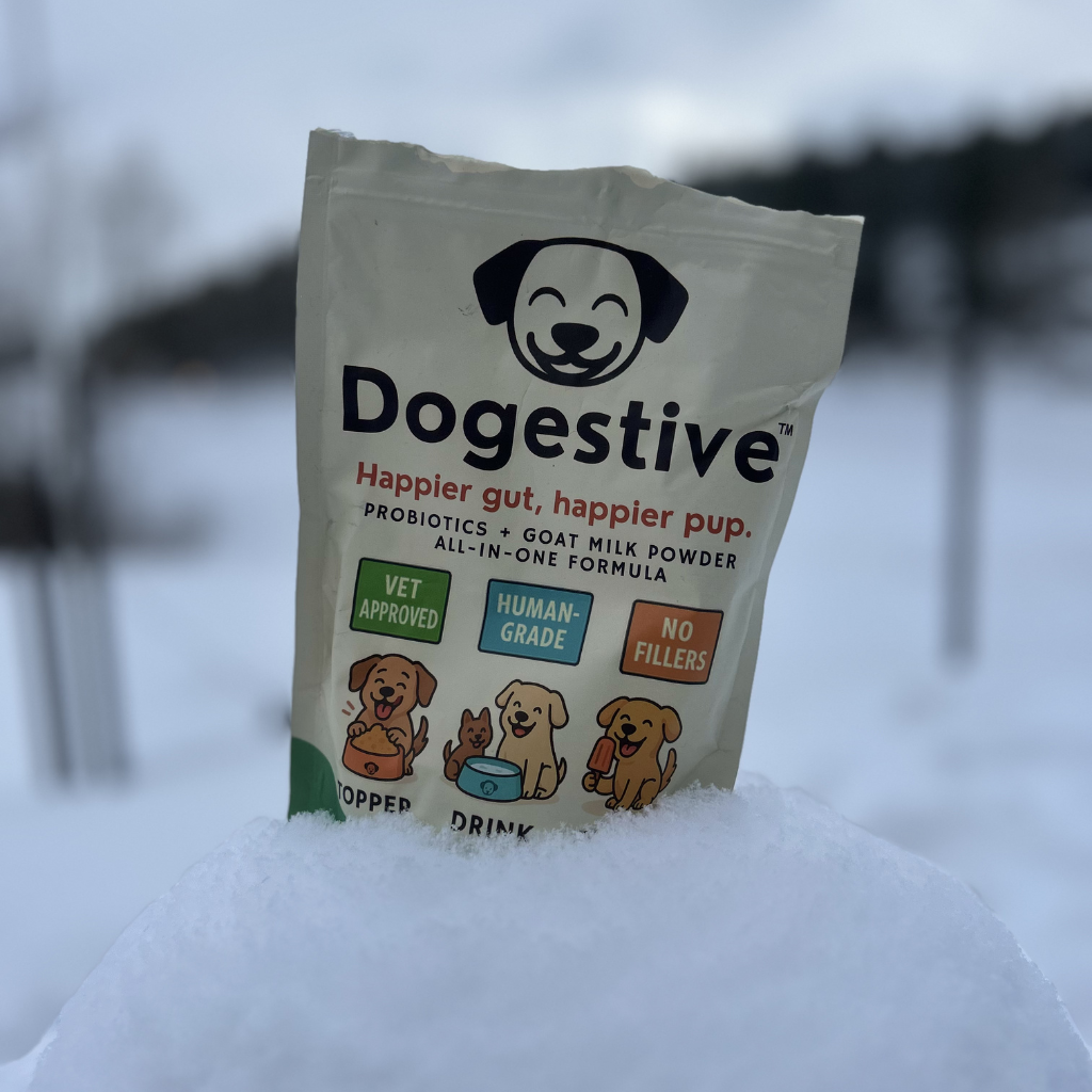 Dogestive™ – Dagligt tillskott för en gladare och friskare hund