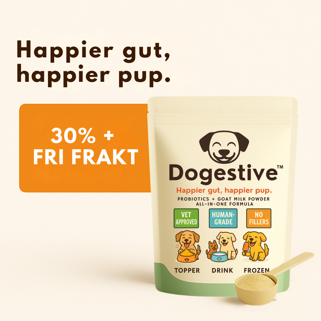 Dogestive™