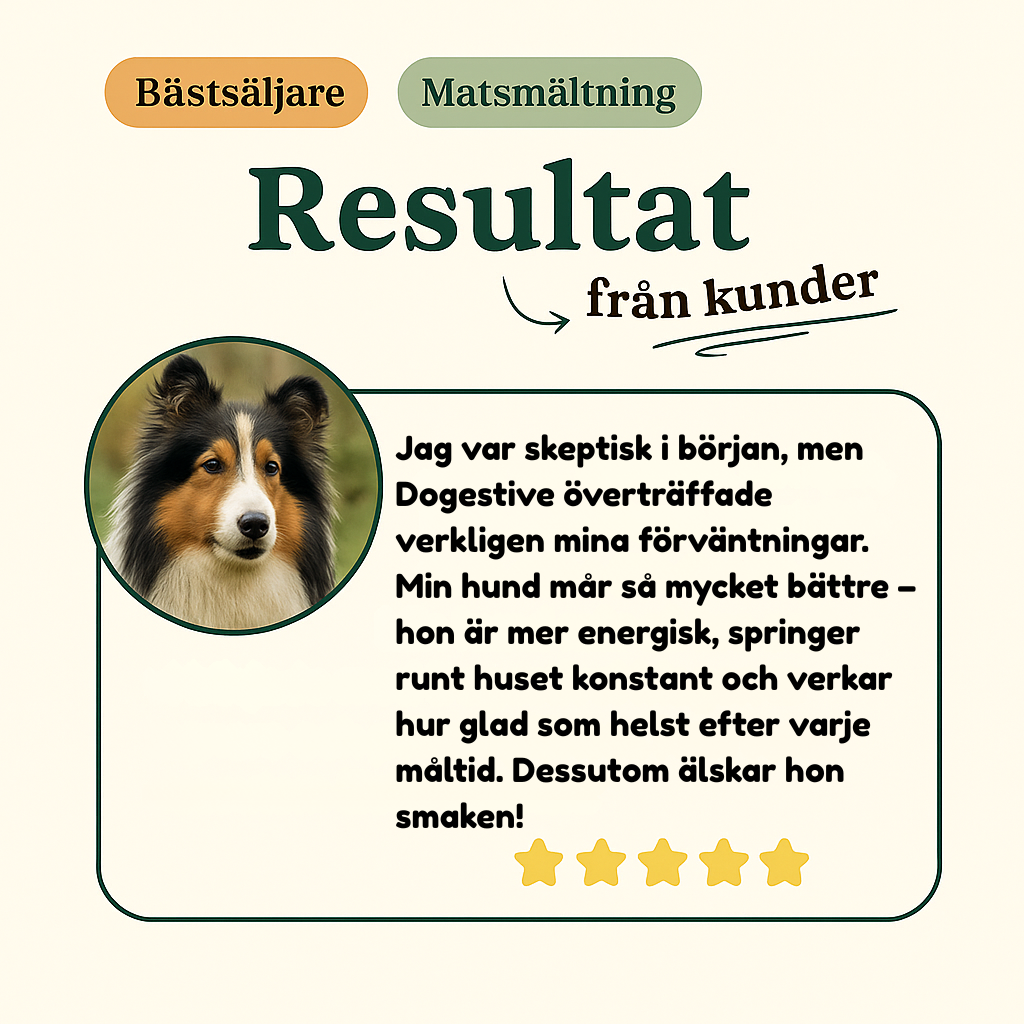 Dogestive™ – Dagligt tillskott för en gladare och friskare hund
