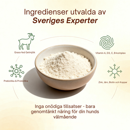 Dogestive™ – Dagligt tillskott för en gladare och friskare hund