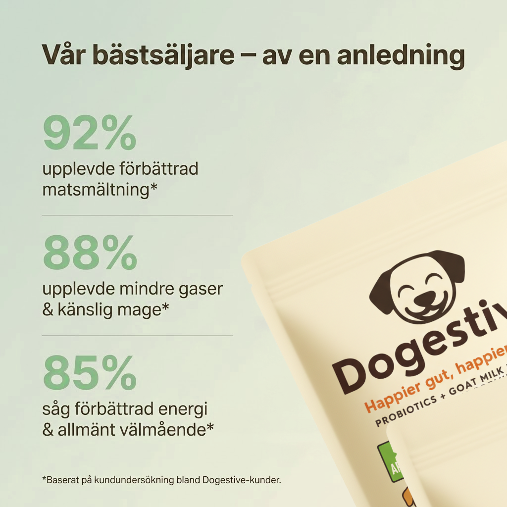Dogestive™ – Dagligt tillskott för en gladare och friskare hund