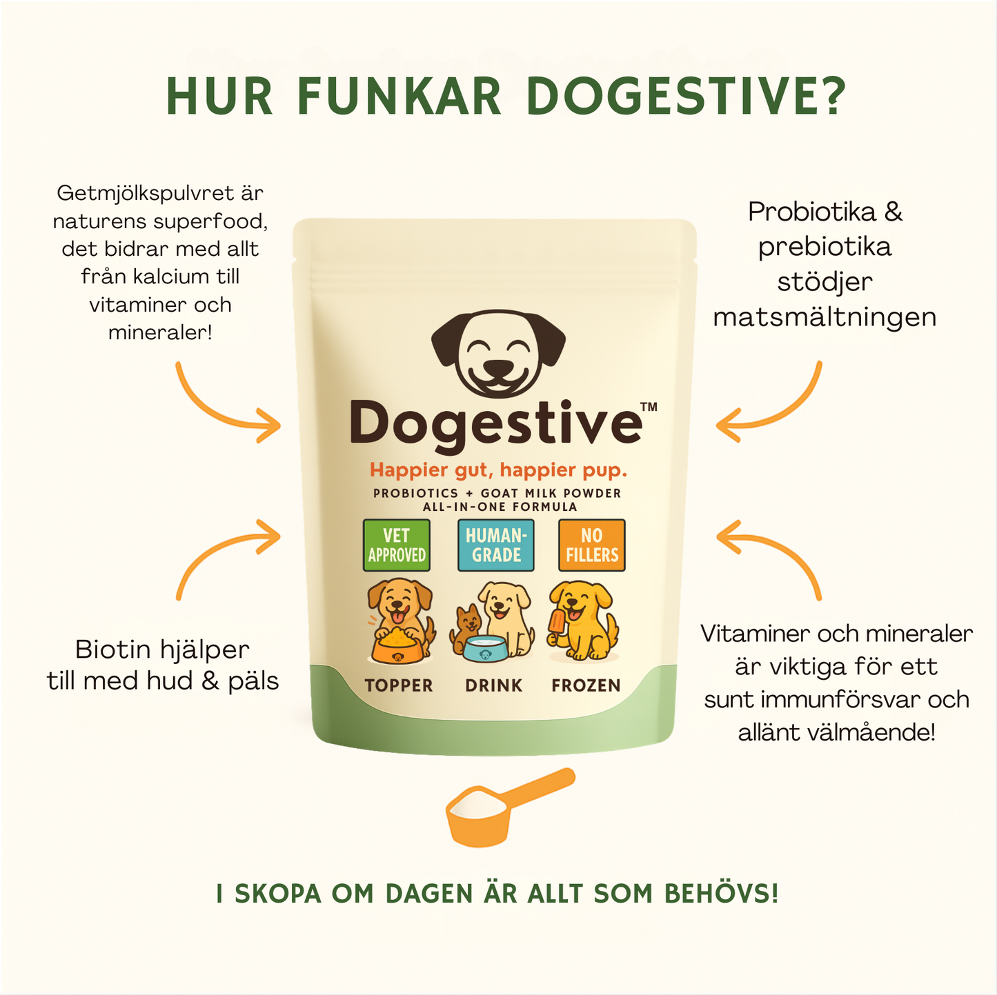 Dogestive™