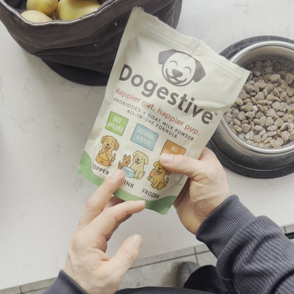 Dogestive™ – Dagligt tillskott för en gladare och friskare hund